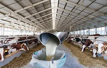 Kayseri'ye 270 milyon müjdesi