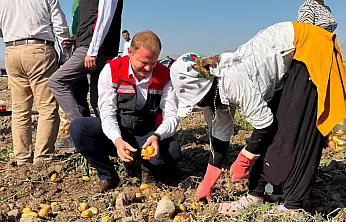 Kayseri Yeşilhisar'da üretiliyor, Katar'a, Suudi Arabistan'a gönderiliyor