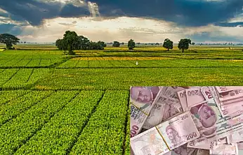 Kayserili çiftçiye nefes aldıracak destek açıklandı