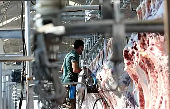 Kesimhanelerde alışılmış düzen sona eriyor: Kesimler artık böyle olacak