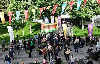 Kocasinan'dan müjde: Ücretsiz domates fidesi dağıtım tarihi netleşti