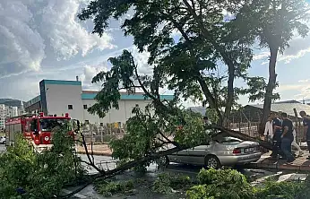 Meteoroloji'den Kayseri için 'sarı' alarm! Fırtına ve rüzgar uyarısı yapıldı