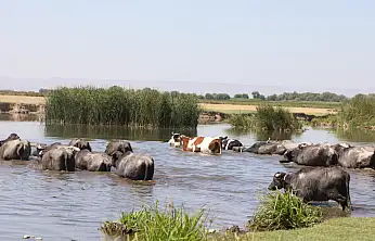 Milletvekilinden akademisyenlere kadar herkes bu çalıştayda! Katma değeri artacak!