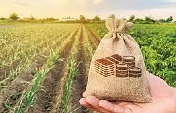 Müdürlükten müjde: Kayserili üreticilere 8.9 milyonluk destek