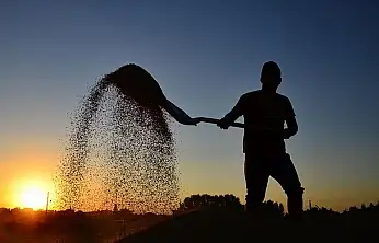 Toprağa bereket, çiftçiye destek! İşte ödemelerin detayları