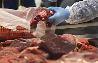 UKON açıkladı: İç Anadolu'da et fiyatlarında son durum
