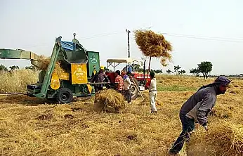 Üreten eller güçleniyor: Çiftçiye 1,14 milyar TL'lik destek ödemesi