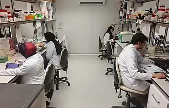 Yaz aylarında Kayserililerin kâbusu olmuştu o hastalıkla ilgili flaş gelişme