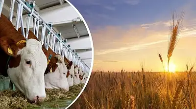 Çiftçilere 1 milyar 46 milyon lira destek