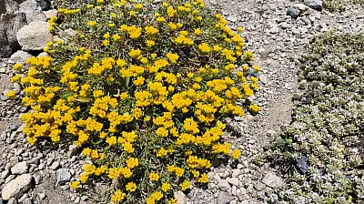 Erciyes'teki doğal oluşum dikkat çekti