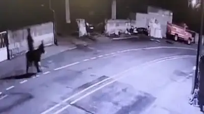 Forkliftle sarraf hırsızlığında 'eşek' detayı!