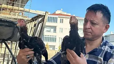 Genç yaşta vefatı ilçeyi yasa boğdu!