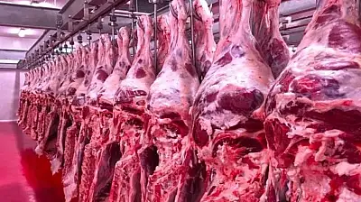 İç Anadolu'da karkas et piyasasında son durum!