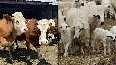 Kayseri'de binlerce üreticiyi ilgilendiren başvuru başladı