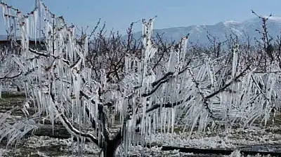 Kayseri'de bugün herkes ve her yer donacak