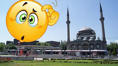 Kayseri'de kaç hayvan var?