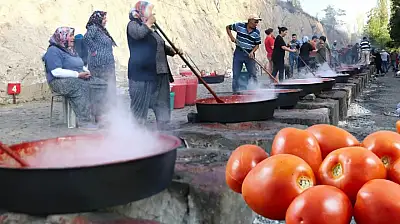 Kayseri'de sezon başladı! Salçalık domates fiyatları belli oldu