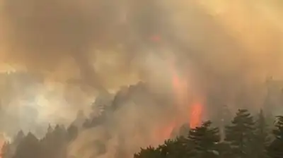 Kayseri'deki orman yangınında yeni gelişme