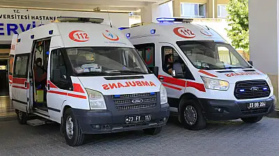 Kayseri'den Elazığ'a üzüm almaya giderken hayatını kaybetti!