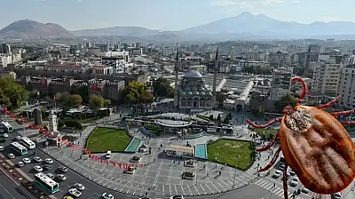 Kayseri ve çevresinde kene alarmı! En riskli alanlar belli oldu
