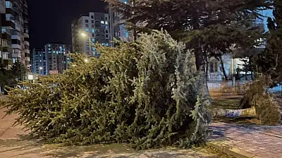 Kayserililer pencereleri sıkı kapatın! Saatte 50 kilometreyi bulacak!