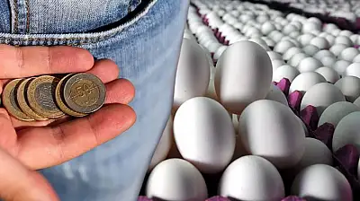 Nefes aldıran indirim... Tane fiyatı düştü