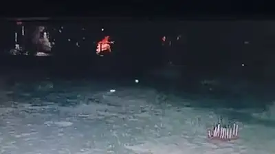 O ilçede kene ve yılanın ardından şimdi de kurt paniği