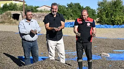 TRT 1'in sevilen ismi Kayseri'de hasada katıldı