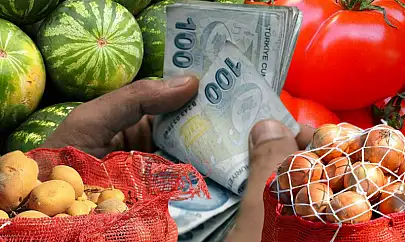 Adana'da çiftçi, markette ve pazarda vatandaş çaresiz: Tarlada karpuz 2 TL, domates 3 TL!
