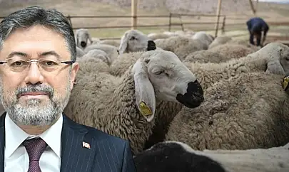 Bakan açıkladı: ESK kalan kurbanlıkları alıyor, işte alım fiyatları