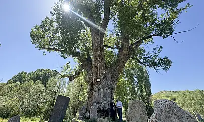 Dünyada eşi benzeri olmayan anıt mezarlık Develi'de