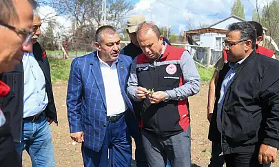 Güneşli'de çiftçinin yüzü gülmedi! Müdür Saklav incelemede bulundu