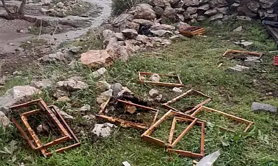 Kayseri'de ayı saldırısı
