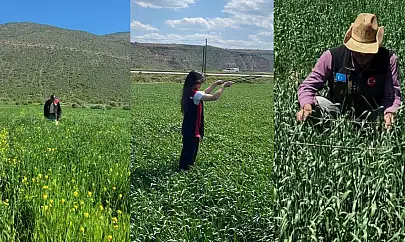Kayseri'de o alanları didik didik ettiler! Bakın ne aradılar?