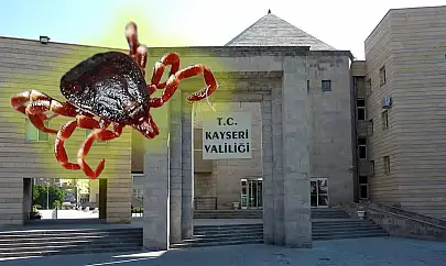 Kayseri'de Valilik'te kene toplantısı! Kimler katıldı, ne konuşuldu