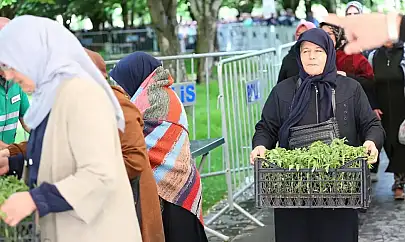 Kayseri'de yarın ücretsiz domates fidesi dağıtılacak