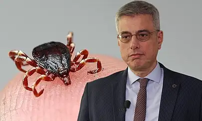 Kayseri'deki kene kabusu bitiyor mu? Bakan müjdeyi verdi