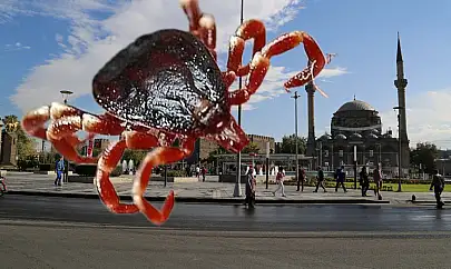 'Kene şehirde 3 can aldı! Kayseri'de yetkililer neden sessiz?'