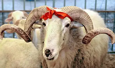 Melikgazi Müftülüğü üst üste 3. kez Türkiye birincisi oldu