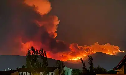 Orman yangınların sebebi ortaya çıktı! Kayseri'den tepki geldi