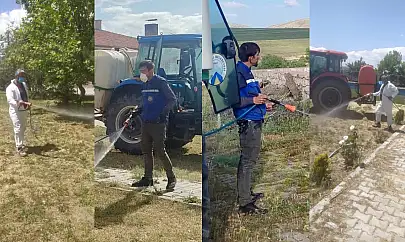 Park, bahçe, okul, cami... Belediyeler keneye karşı alarmda