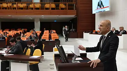 CHP'li Genç orman yangınlarının ardından harekete geçti