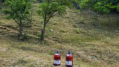 Doğada bu damacanaları görürseniz sakın şaşırmayın! İşte nedeni