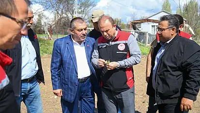 Güneşli'de çiftçinin yüzü gülmedi! Müdür Saklav incelemede bulundu