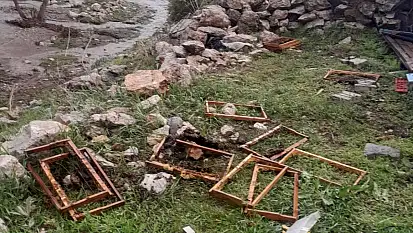 Kayseri'de ayı saldırısı