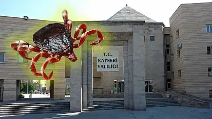Kayseri'de Valilik'te kene toplantısı! Kimler katıldı, ne konuşuldu