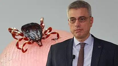 Kayseri'deki kene kabusu bitiyor mu? Bakan müjdeyi verdi