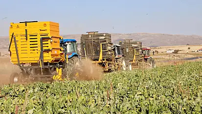 Türkiye'nin en büyükleri arasında yer alan Kayseri'deki şirket pancar yolu yapıyor