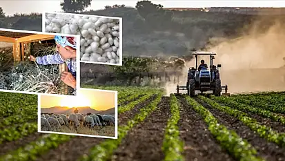 Kayserili çiftçiler müjde! Ödemeler başladı!