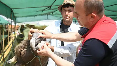 Müdür Kayseri'de denetime çıktı! Kurban keseceklere cep telefonu uyarısı! Mutlaka kullanın